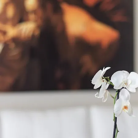 Apartment Duca Di Sarro Le Catania